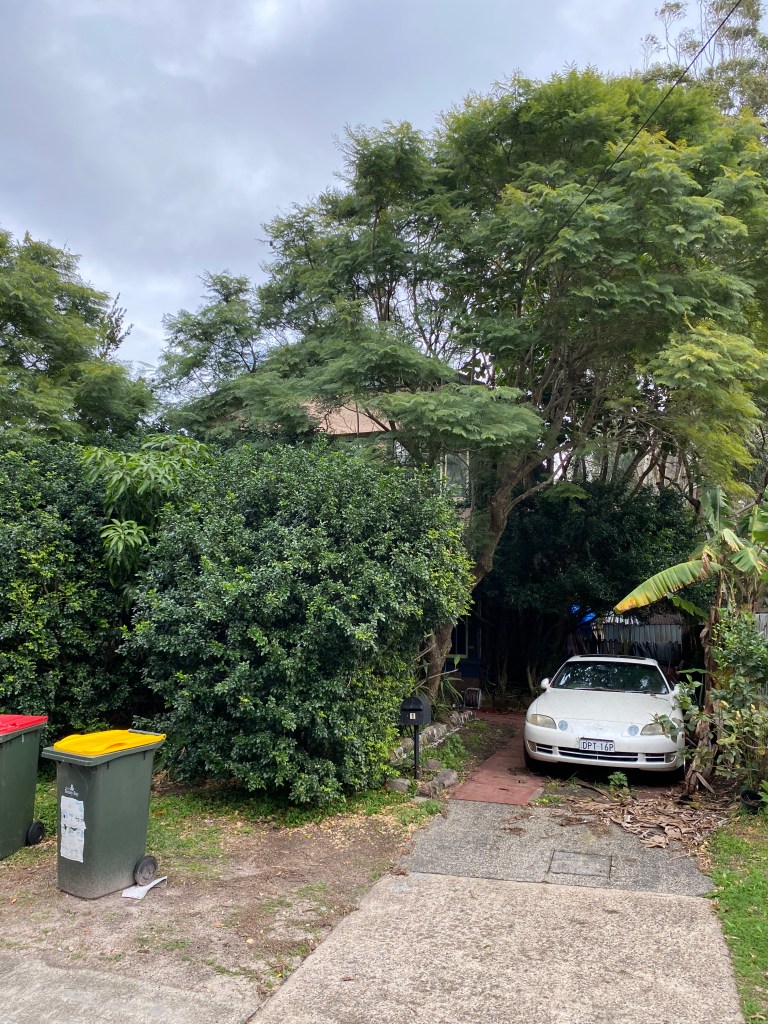 Daceyville garden suburb public housing home